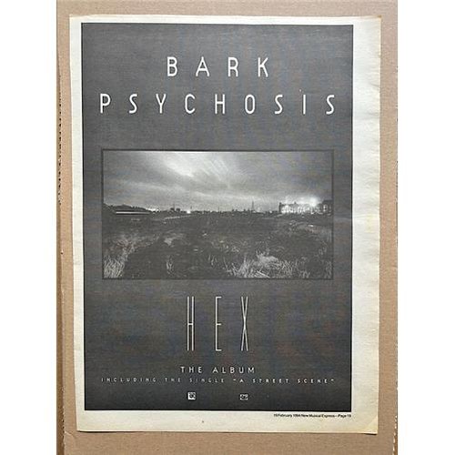 Bark psychosis hex poster - psychosis,