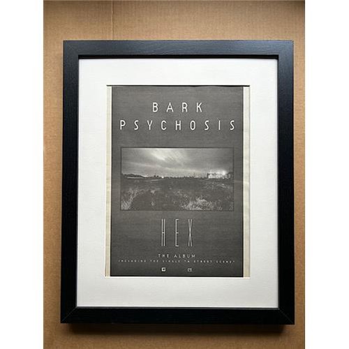 Bark psychosis hex - psychosis, hex(framed)
