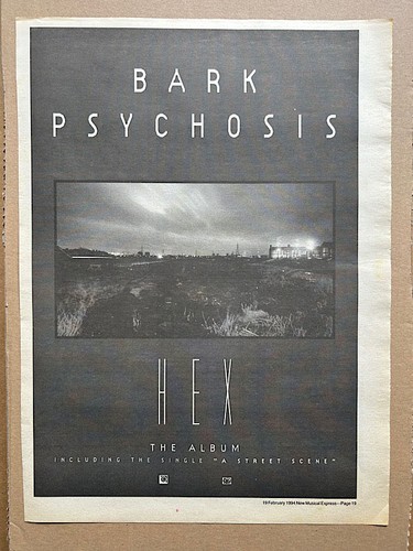 Bark psychosis hex poster - bark,
